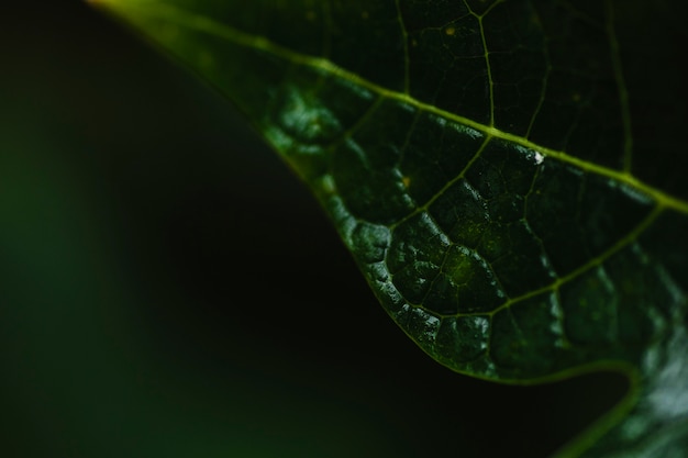 Optez pour une Climatisation Éco-Responsable à Aubagne et Gémenos : Notre Expertise Green à Votre Service