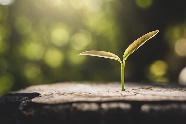 Green Maintenance : Votre Partenaire en Climatisation Écologique et Entretien Énergétique à Aubagne et en Bouches-du-Rhône Toute l’Année